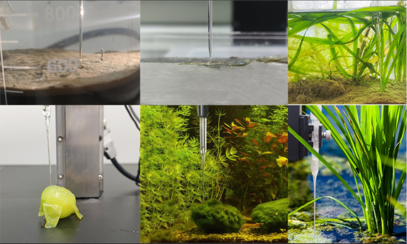 如何讀懂微生物群落的“健康密碼