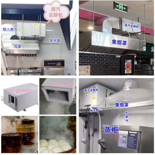 日業(yè) 廚房 蒸汽去除機.jpg 如何有效處理蒸飯柜產(chǎn)生的水蒸氣