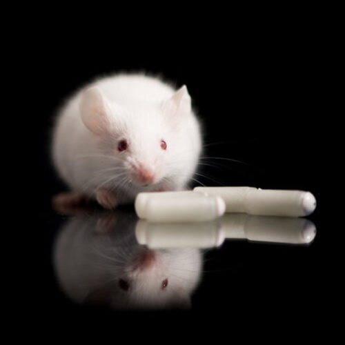 ALZET代理商（美国）2026授权代理-上海起发