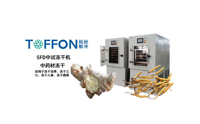 5c54e113-18a7-4581-a4de-dacfcd4a894b