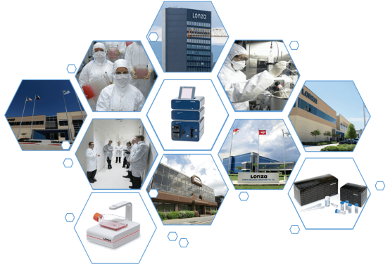 image.png LONZA原代人表皮角质形成细胞NHEK, Human Epidermal Keratinocytes产品介绍