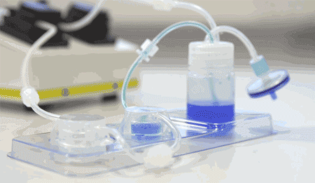 Lonza人原代肝臟細胞、肝臟非實質(zhì)細胞Human Hepatocytes產(chǎn)品介紹