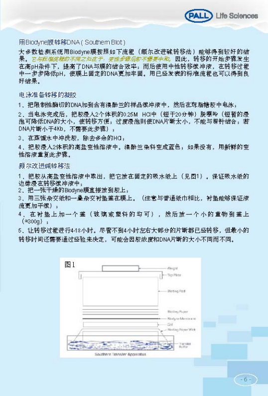 PALL PVDF转印膜 NC转印膜