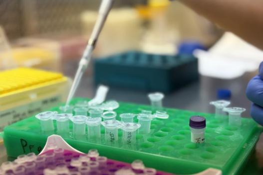 c4092b03-2f1c-46f8-8c66-18fb0d6c79e4.jpg 美國Klentaq代理商 2026授權代理-上海起發