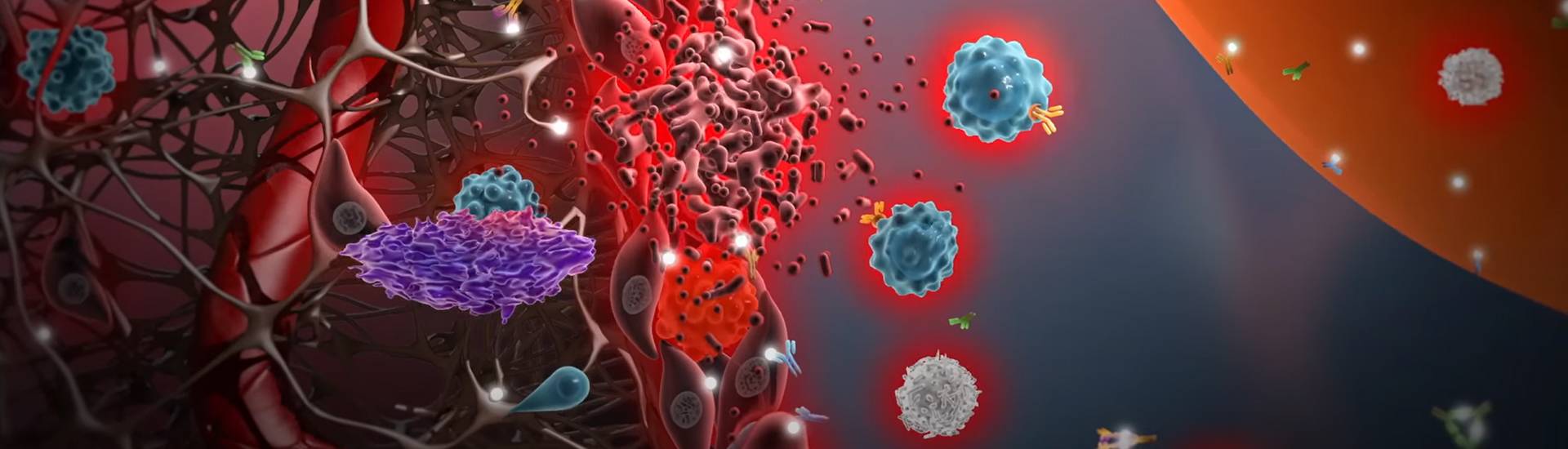 AntibodySystem（法国）代理商 2026授权代理-上海起发