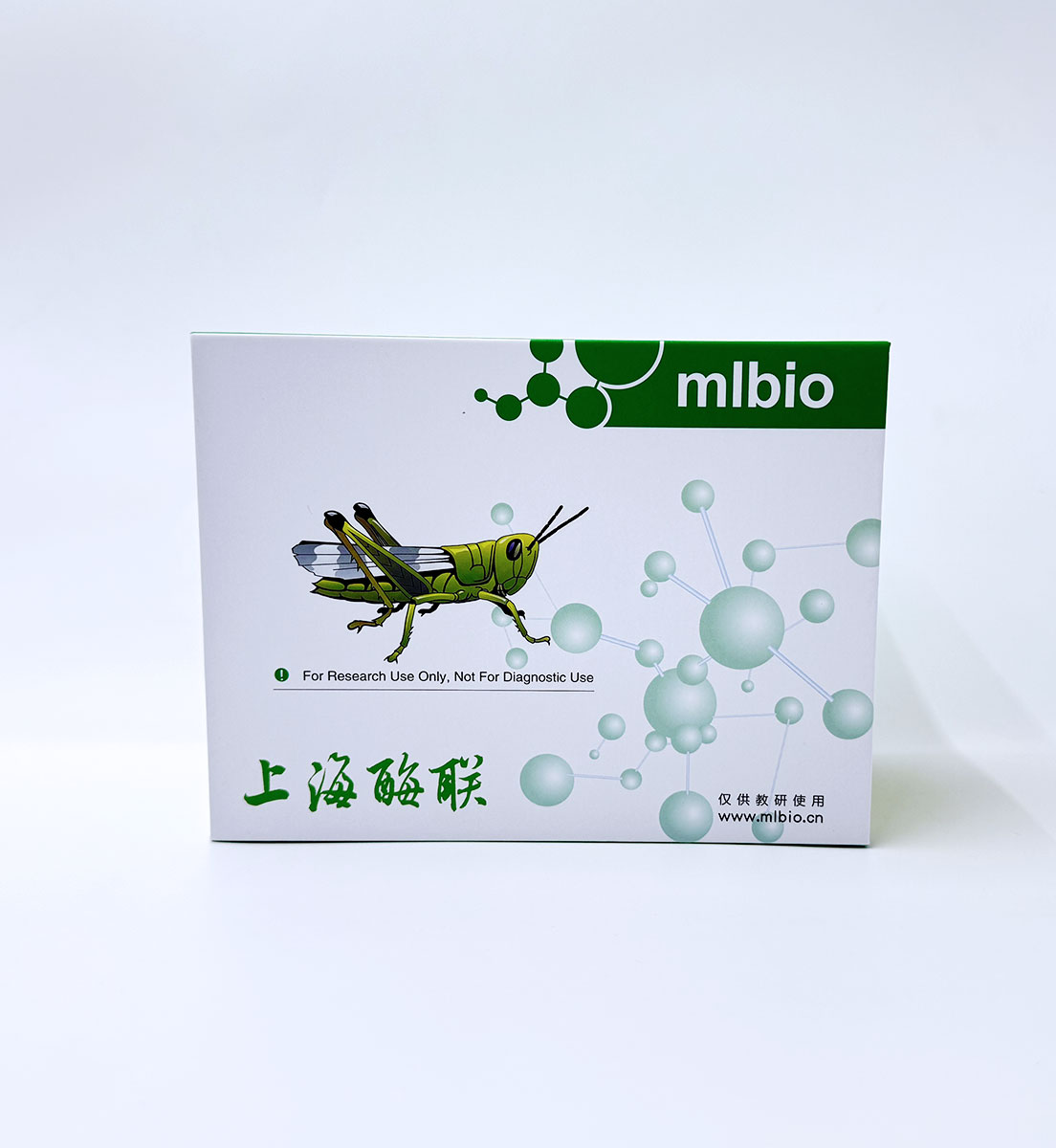 上海酶聯(lián)生物mlbio代理商 2026授權(quán)代理-上海起發(fā)