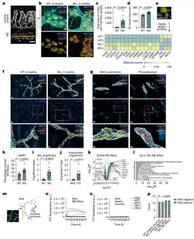 20260128-Nature-Fig1 20260128-Nature-Fig1