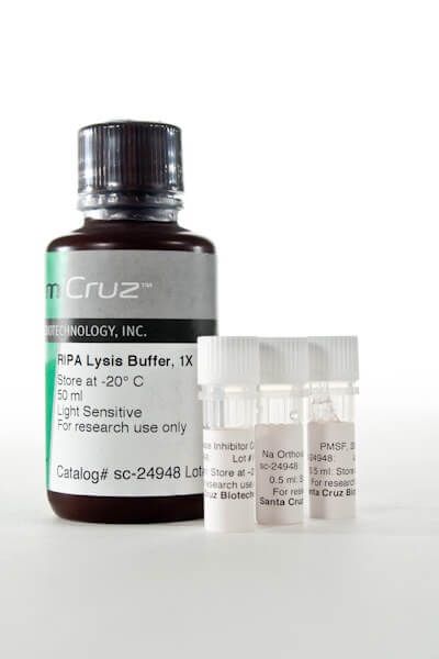 4af948f8-533f-4d91-b5a2-6adb9c47e76e.jpg 圣克鲁斯Santa Cruz Biotechnology代理商 2026年scbt授权代理-上海起发