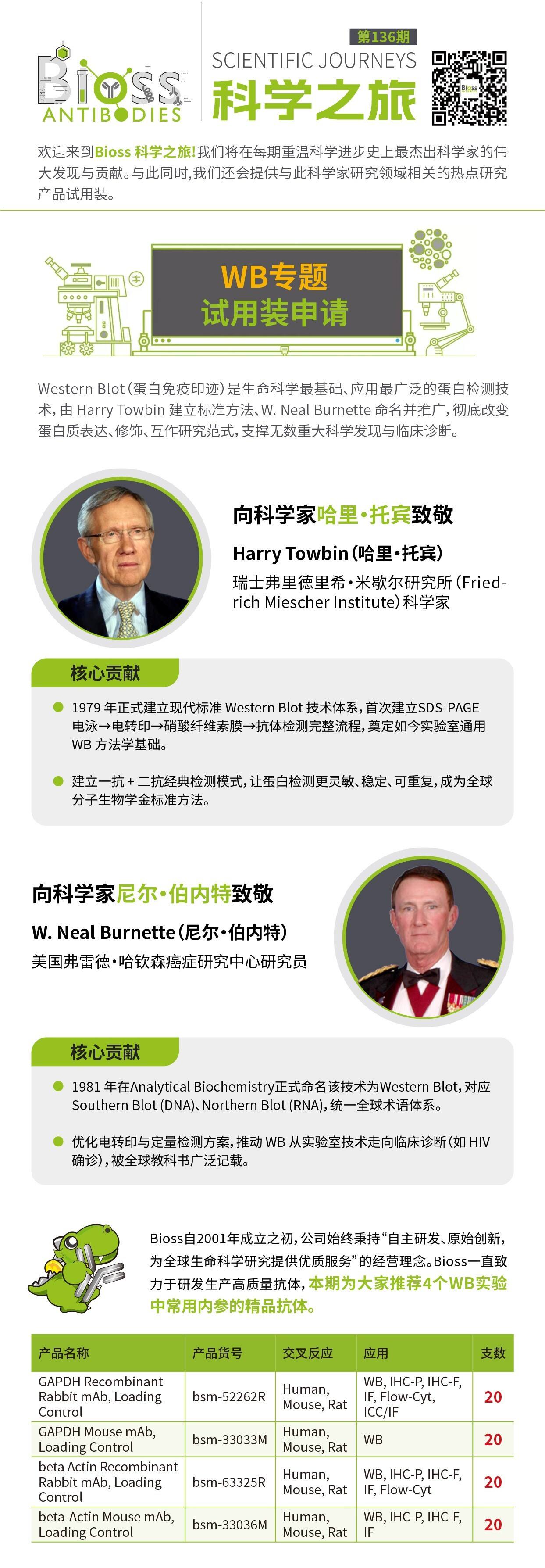 d92bec3f-a469-404f-9c60-dcd37601e2b3 v1.jpg