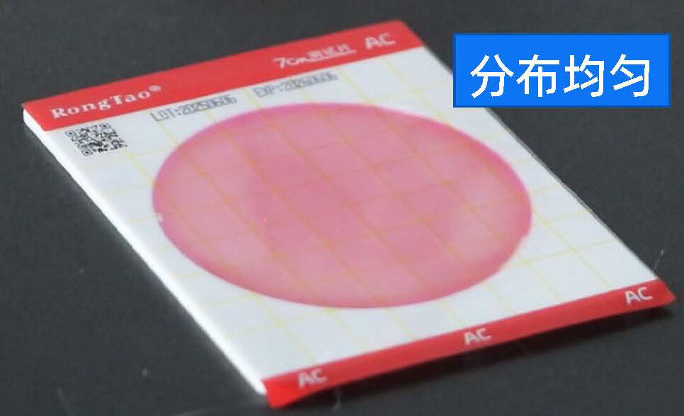 新品发布——菌落总数测试片(AC)-7cm测试片
