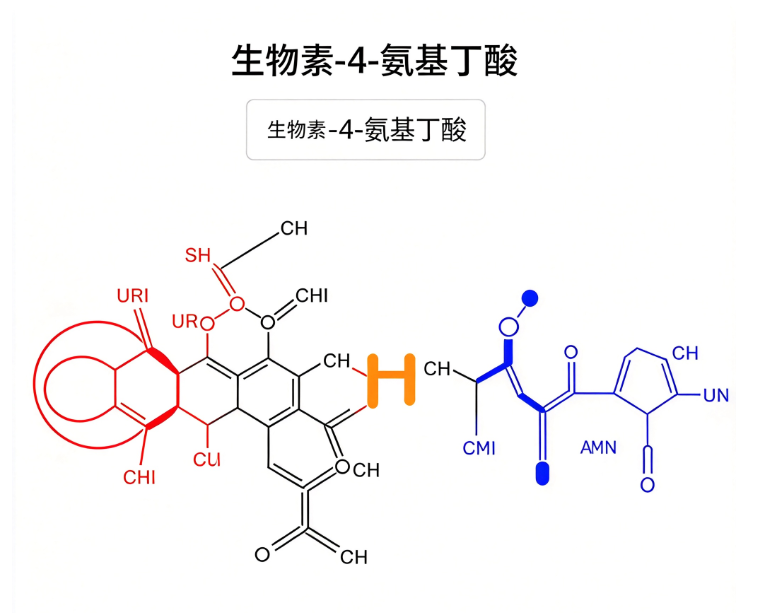 生物素探针|生物素-4-氨基丁酸Biotin-GABA的合成工艺