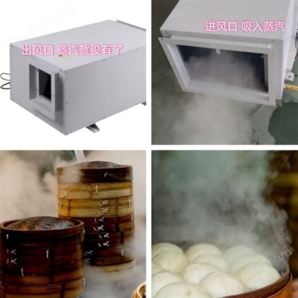 水餃店蒸汽怎么處理?餃子館蒸汽去除機