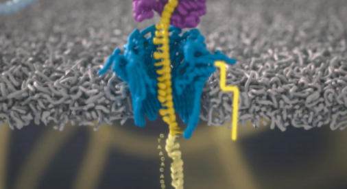 納米孔三代測序儀PromethION 24