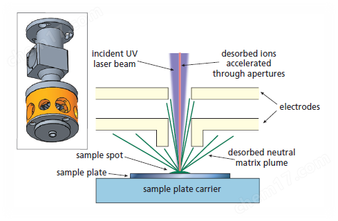 基质辅助激光解吸质谱
